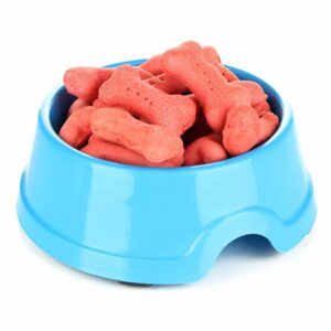Bootique Pumpkin Bowl for Dogs & Cats, 3 Cups